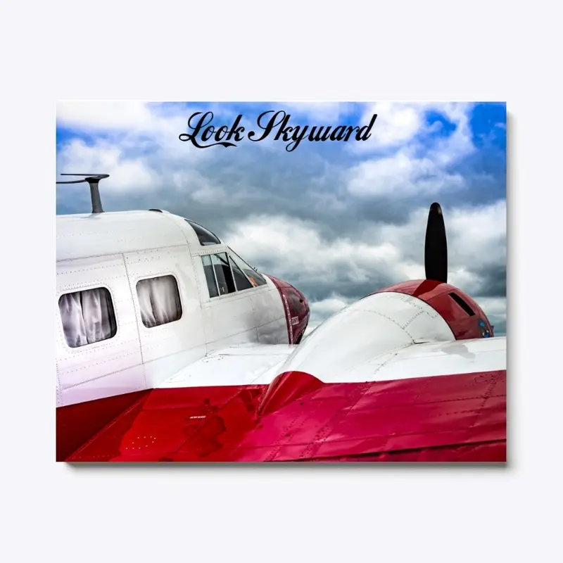 Vintage Airplane Canvas Print